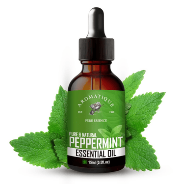 https://cdn.shopify.com/s/files/1/1857/6931/files/lDdgEGD5dN-948539.png?v=1736149330